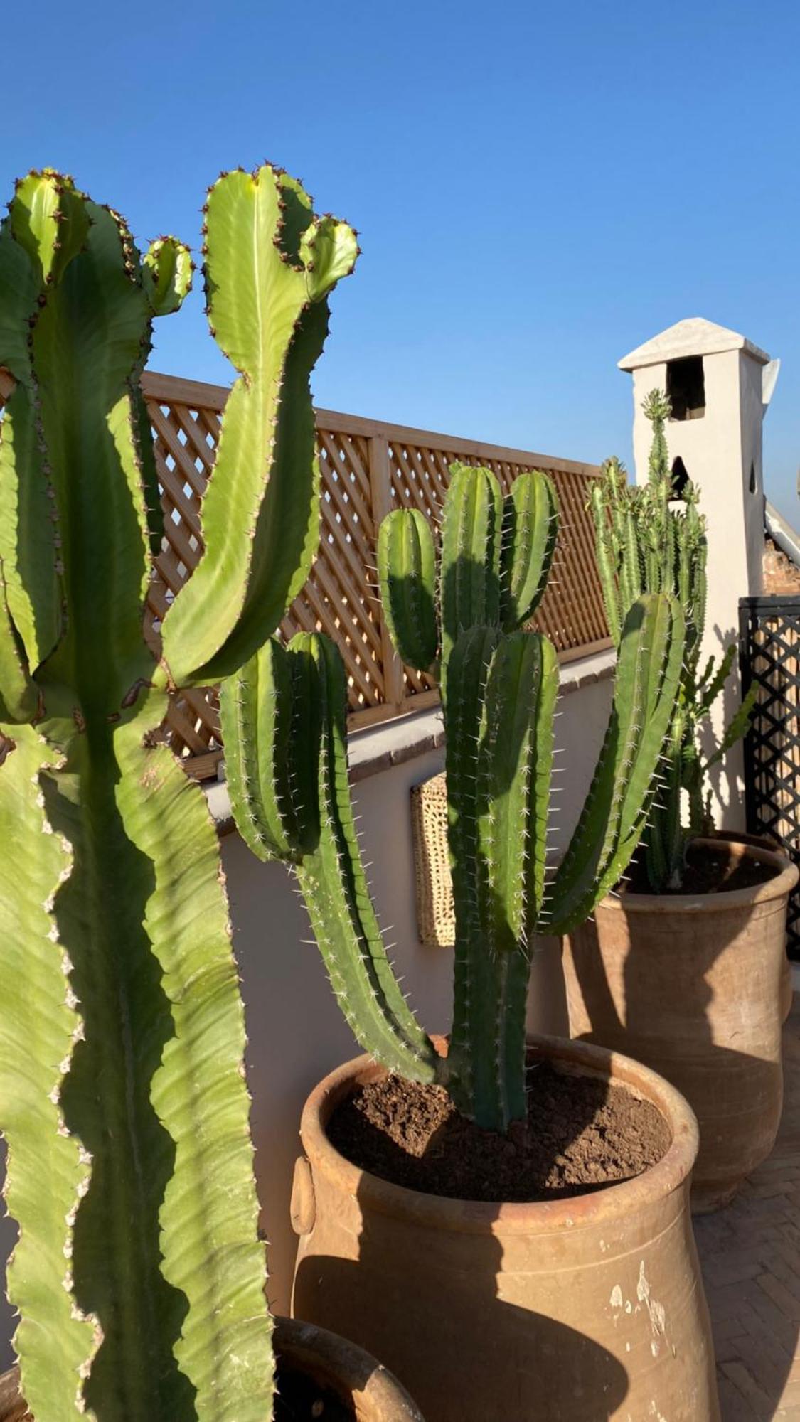 Riad Gasaembre Touareg Marrakesh Exterior foto